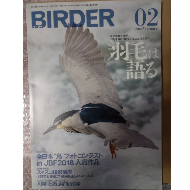 野鳥の雑誌　/　BIRDER (バーダー) 2019年 02月号 エンタメ/ホビーの雑誌(専門誌)の商品写真