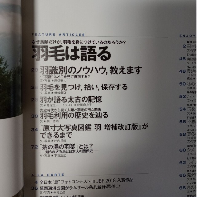 野鳥の雑誌　/　BIRDER (バーダー) 2019年 02月号 エンタメ/ホビーの雑誌(専門誌)の商品写真