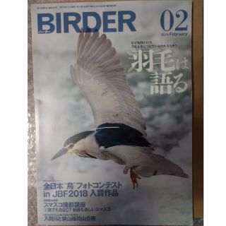 野鳥の雑誌　/　BIRDER (バーダー) 2019年 02月号(専門誌)