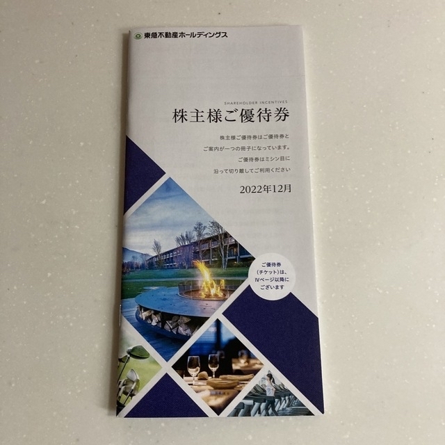 【drim様専用】東急不動産ホールディングス　株主優待券 チケットの優待券/割引券(宿泊券)の商品写真