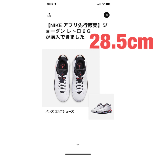 Nike Air Jordan6 Low Golf White Infraredメンズ