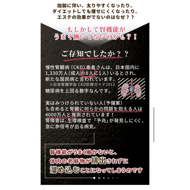 ☆プレミアムイヌトウキ☆1袋 漢方サプリメント 日本山人参の通販 by