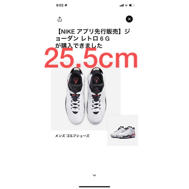 NIKE - Nike Air Jordan 6 Low Golf ジョーダン6 ゴルフの通販 by おが