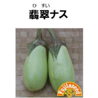 ilocotoazu＜野菜の種＞翡翠なす　ヒスイナス　３０粒　+ホワイトベル(プランター)