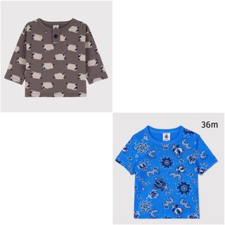 プチバトー(PETIT BATEAU)のみちゃん様　ご専用です(Tシャツ/カットソー)