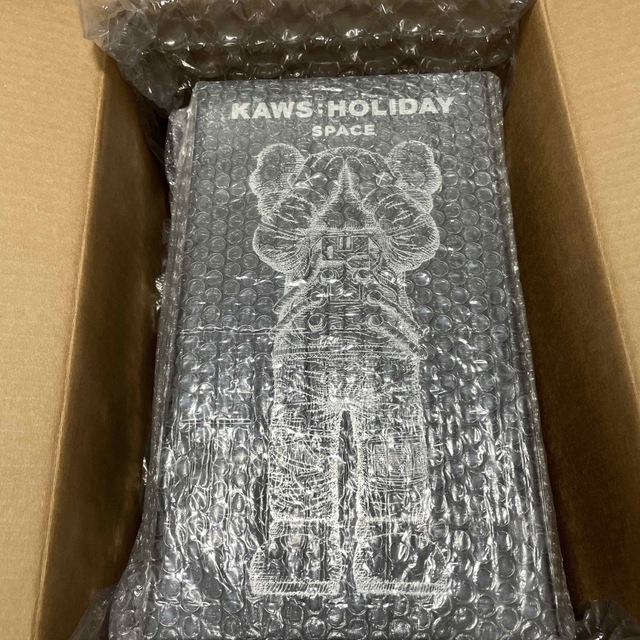 KAWS Holiday Space silver | www.causus.be