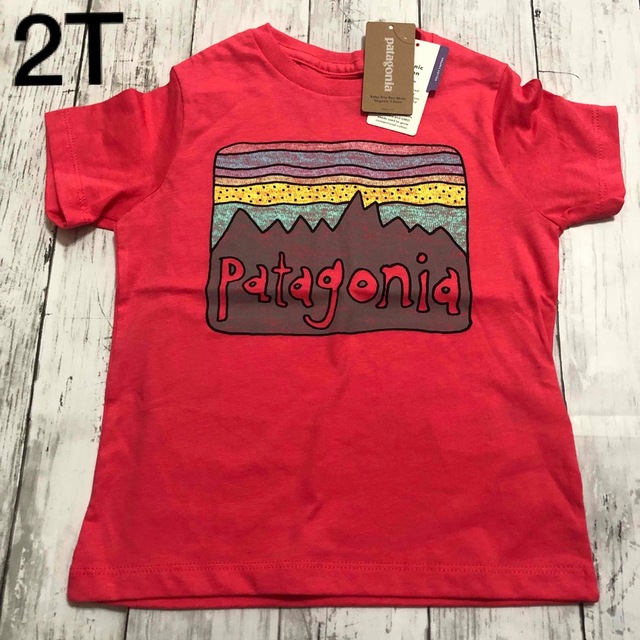 patagonia(パタゴニア)のパタゴニア　Tシャツ　2T キッズ/ベビー/マタニティのキッズ服女の子用(90cm~)(Tシャツ/カットソー)の商品写真