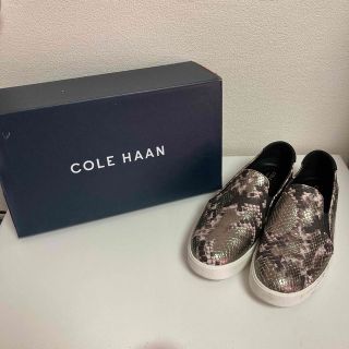 コールハーン(Cole Haan)のコールハーン パイソン柄 スリッポン 24.5cm(スニーカー)