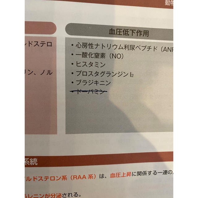 愛玩動物看護師 国家試験対策 テキスト 問題集 教科書の通販 by まあ's