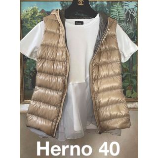 ヘルノ(HERNO)の美品　♡ ヘルノ　40 サイズ　軽量ダウンベスト　リバーシブル　カーキ　ベージュ(ダウンベスト)