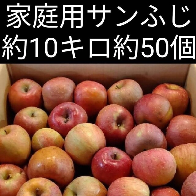 信州りんご　サンつがる  家庭用  10キロ