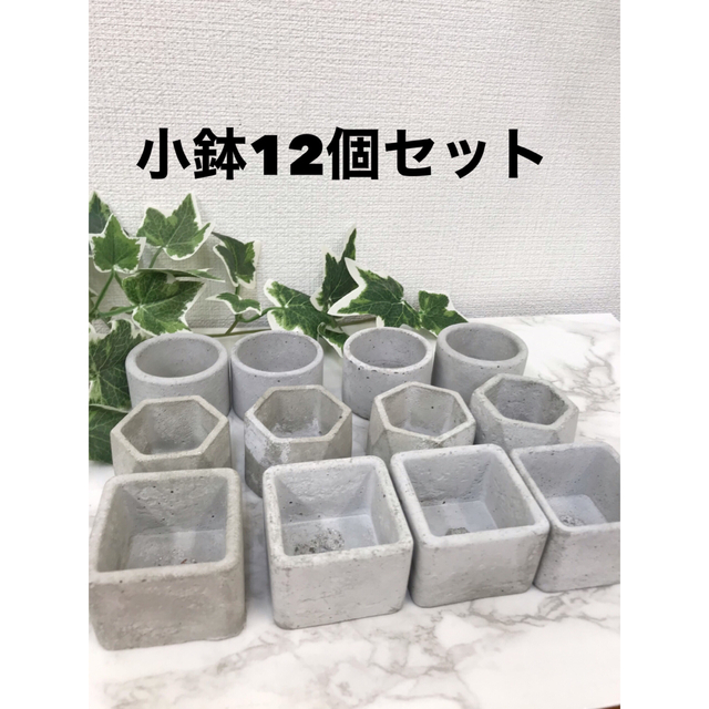 オシャレ セメント植木鉢12個セット www.lewaa.sa