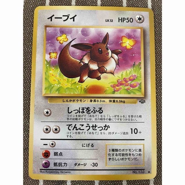 旧裏ポケモンカード ブイズ | www.stamayk.sch.id