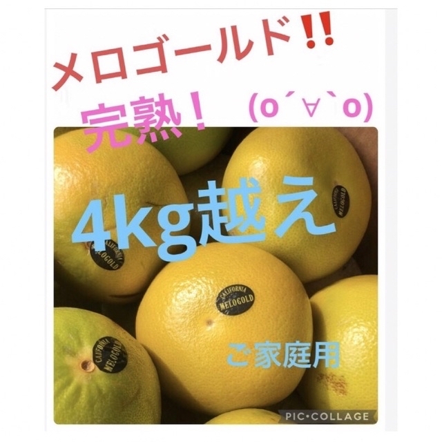 メロゴールド　4kg越え 食品/飲料/酒の食品(フルーツ)の商品写真