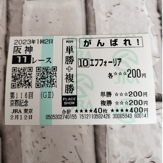 エフフォーリア 応援馬券 エンタメ/ホビーのコレクション(ノベルティグッズ)の商品写真