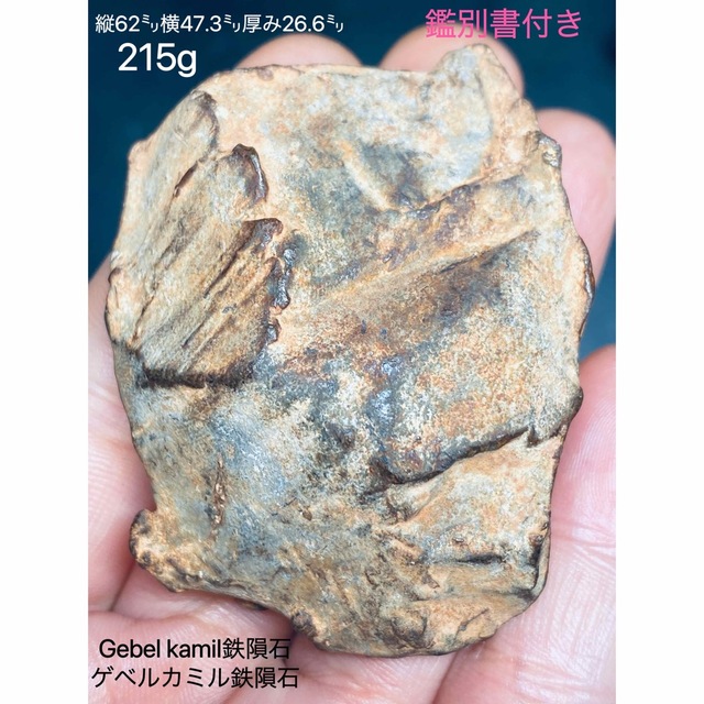 ゲベルカミル隕石 215g 隕石原石 標本 鉄隕石 Gebel Kamil 隕石