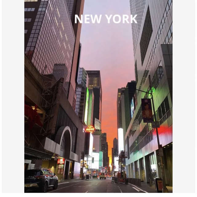 NEWYORK モマニューヨークMOMA LA+h オリジナルスカーフ新品未使用