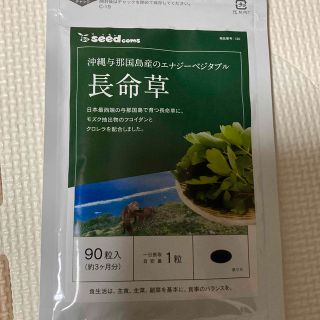 シードコム　長命草(その他)