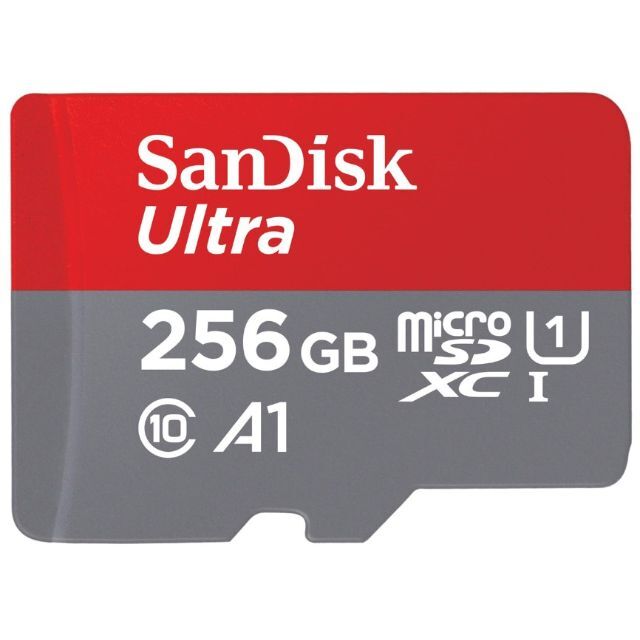 SANDISK　SDSQUAR-256G-JN3MA [256GB]