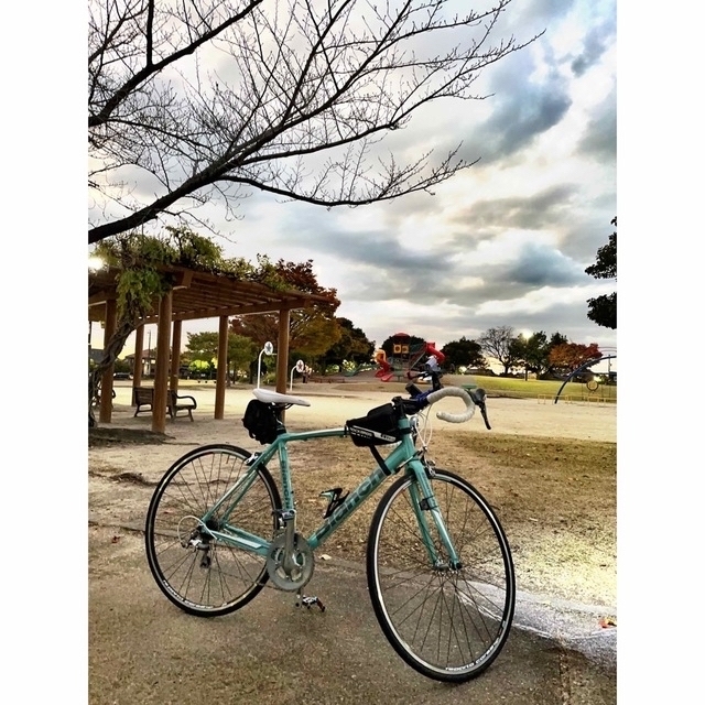 新しい VIA - Bianchi NIRONE 2015 tiagra 7 自転車本体