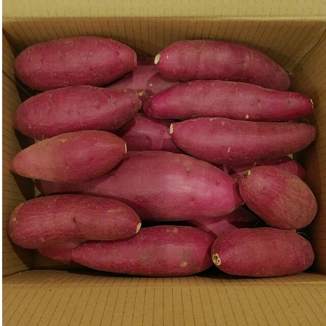 12　さつまいも　食品　千葉県産　約2.3㎏　べにはるか　サツマイモ
