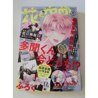 ハクセンシャ(白泉社)の花とゆめ  6号  本誌  新品未読品  多聞くん今どっち！？(少女漫画)