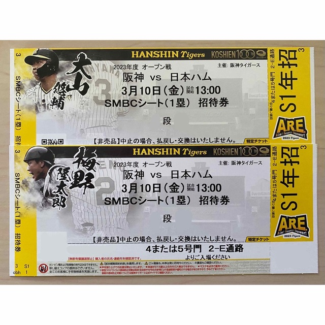 大量入荷 阪神vs広島 9月10日 日 ペアチケット