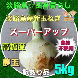 淡路島産新玉ねぎ5kg訳あり品 スーパーアップ 農薬不使用 高糖度(野菜)