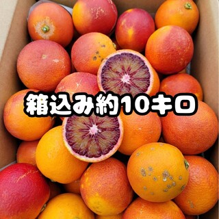 愛媛県産　ブラッドオレンジ(モロ)　箱込み約10㎏　柑橘　ミカン(フルーツ)