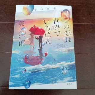 この恋は世界でいちばん美しい雨(文学/小説)