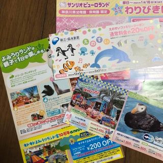 遊園地　水族館　テーマパーク　割引券　クーポン(遊園地/テーマパーク)