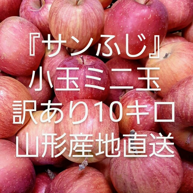 限定セール！山形直送 訳ありりんご『サンふじ』小玉ミニ玉箱込10キロ 減農薬栽培 食品/飲料/酒の食品(フルーツ)の商品写真