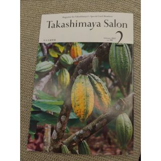 takashimaya salon 2月号(その他)