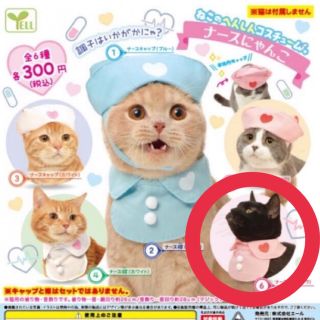 ねこのへんしんコスチューム　ナースにゃんこ(猫)