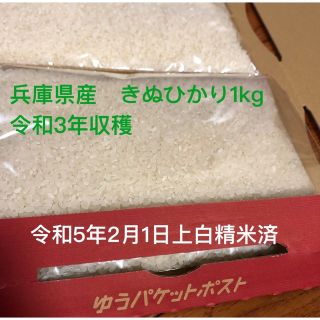 白米兵庫県産　きぬひかり　1kg(米/穀物)