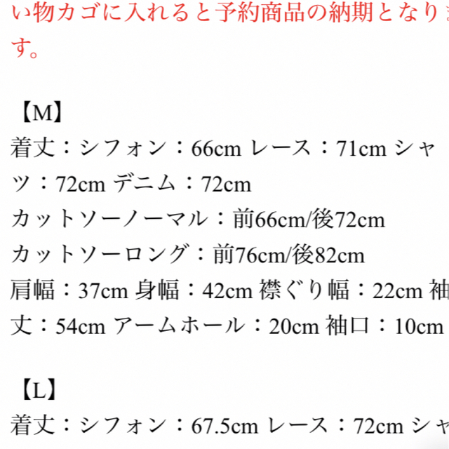 aquagarage(アクアガレージ)のアクアガレージ　重ね着　レイヤード　シフォン　長袖 レディースのトップス(シャツ/ブラウス(長袖/七分))の商品写真