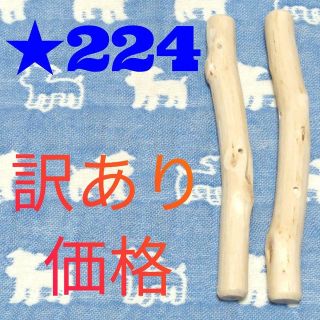 ☆224.犬用国産梨の木、枝、おもちゃ超小型犬向け?歯固め、かじり木