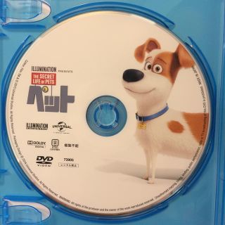 ディズニー(Disney)の送料無料 ペット DVD(ミュージック)