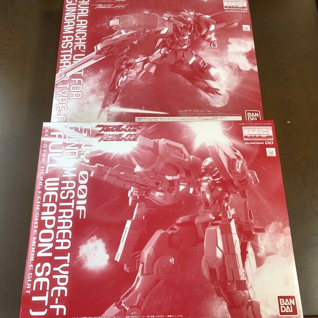MG ガンダムアストレア TYPE-F & アヴァランチダッシュユニット 【受注