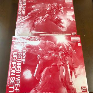 マスターグレード(Master Grade（BANDAI）)のMG ガンダムアストレア TYPE-F & アヴァランチダッシュユニット(プラモデル)