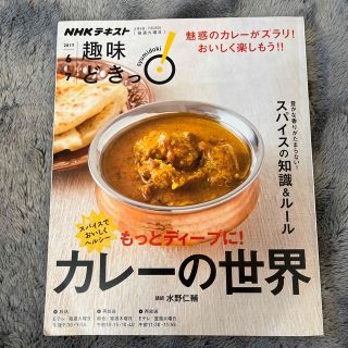 カレーの世界 スパイスでおいしくヘルシーもっとディープに！(料理/グルメ)