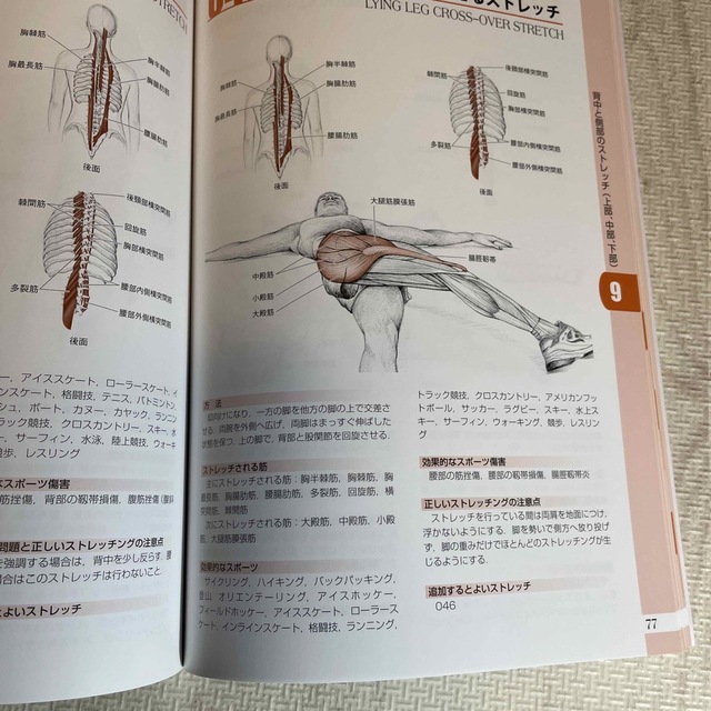 ストレッチと筋の解剖 エンタメ/ホビーの本(健康/医学)の商品写真