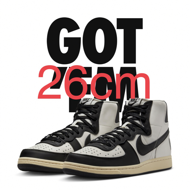 NIKE ターミネーターHIGH Black and Phantom 26cm