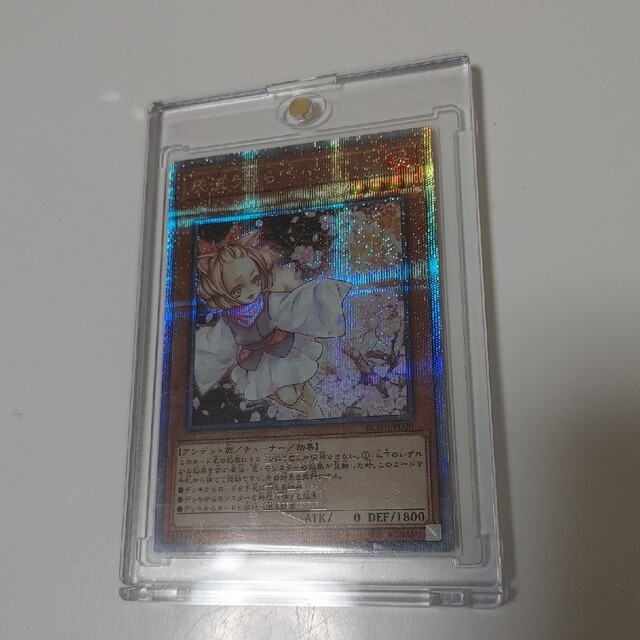 遊戯王 レアコレ 灰流うらら(はるうらら)教導の聖女エクレシア 25thシク-