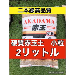 二本線硬質赤玉土小粒2リットル(その他)