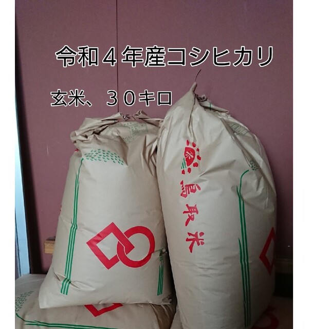 令和４年産コシヒカリ、玄米３０キロ（鳥取県産) - 米/穀物