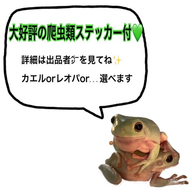 爬虫類 餌やり ピンセット 2本 白 両生類 レオパ 衛生 飼育 軽量 18cm