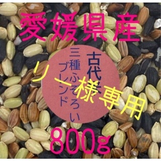 りー様専用　古代米3種ふぞろいブレンド　愛媛県産　800ｇ(米/穀物)