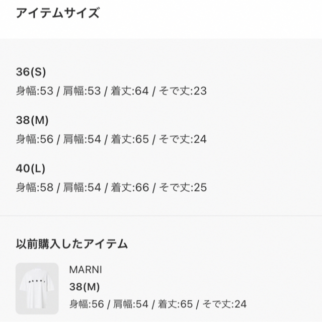 Marni(マルニ)の【4/10クーポン便乗値下げ❗️】MARNI     ロゴTシャツ　Mサイズ メンズのトップス(Tシャツ/カットソー(半袖/袖なし))の商品写真