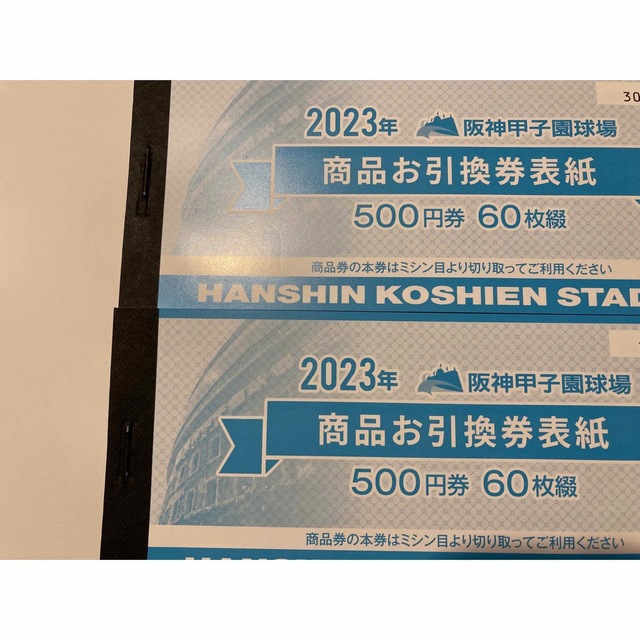 ２万円分　2023年　阪神甲子園球場　500円×40枚分